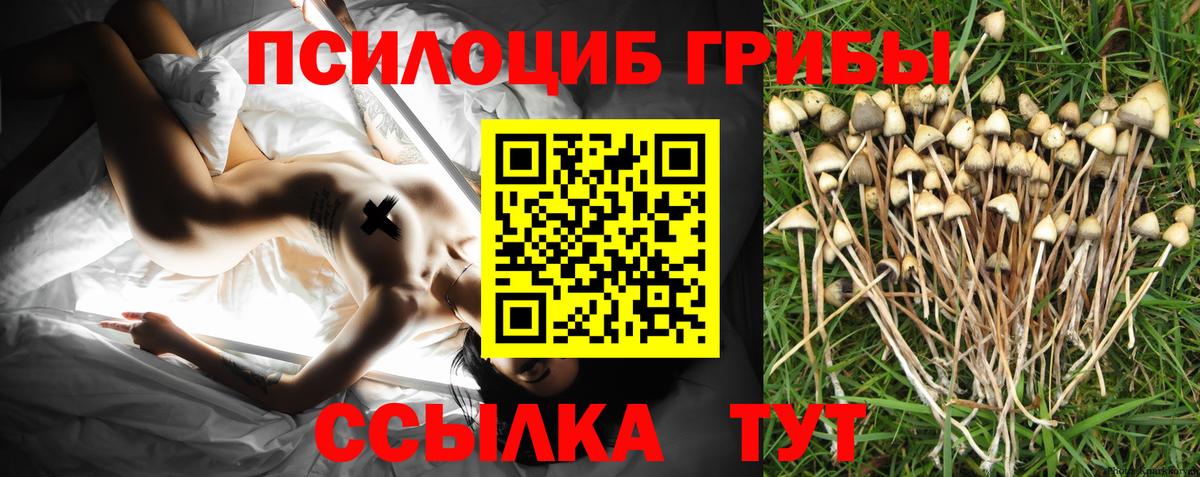 Псилоцибиновые грибы Cubensis  Вход с VPN  Батайск 
